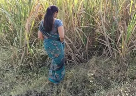 Gaon Ki Bhabhi Ki Chudai - खेत में ले जाकर चुदवाने लगी अन्नू भाभी